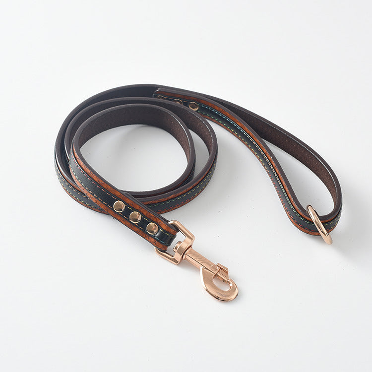 Collar y Correa Classic
