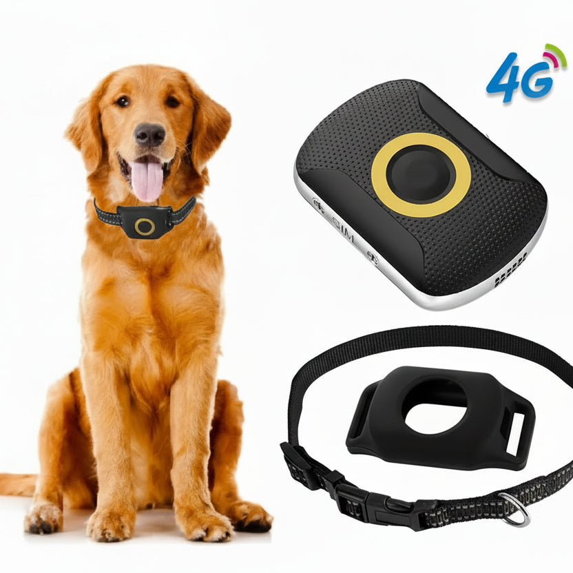 Collar GPS Negro