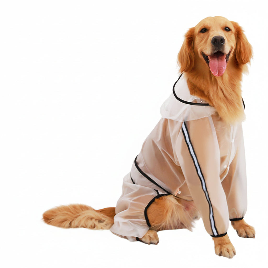 Impermeable Transparente