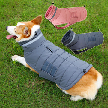 Abrigo de Invierno Vest