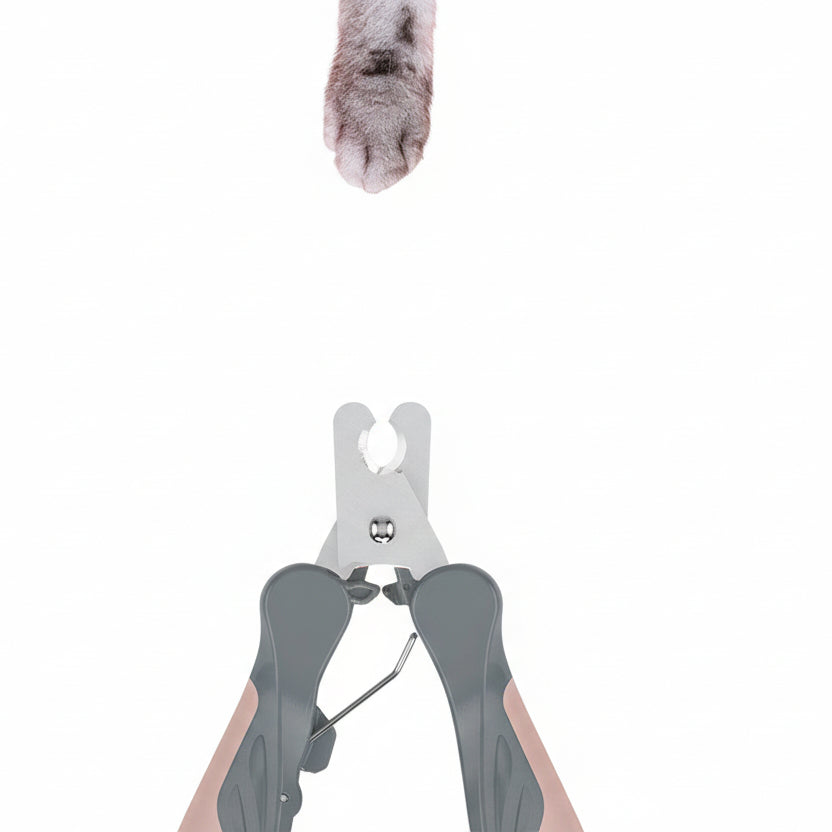 Cortador de Uñas Colores