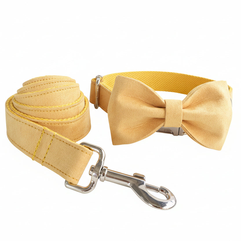 Collar Correa Nala