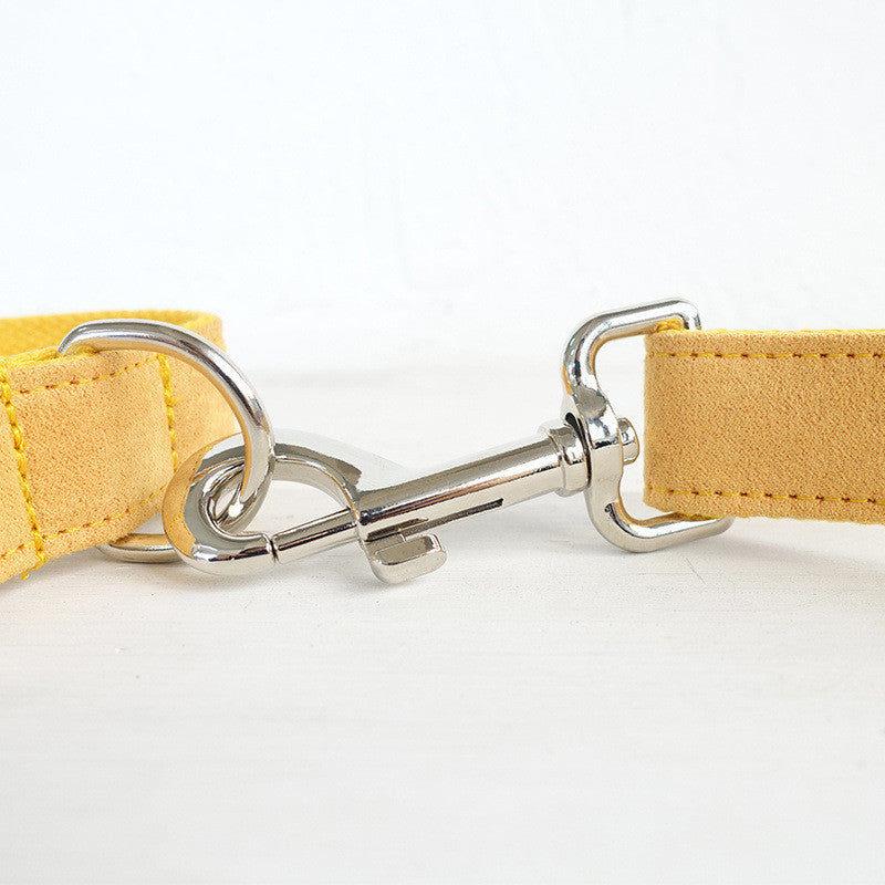Collar Correa Nala