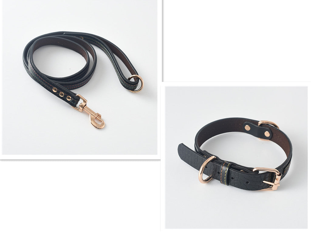 Collar y Correa Classic