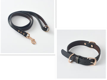 Collar y Correa Classic
