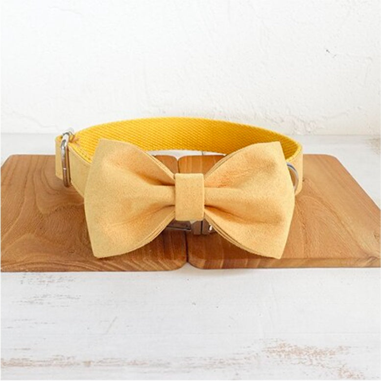 Collar Correa Nala