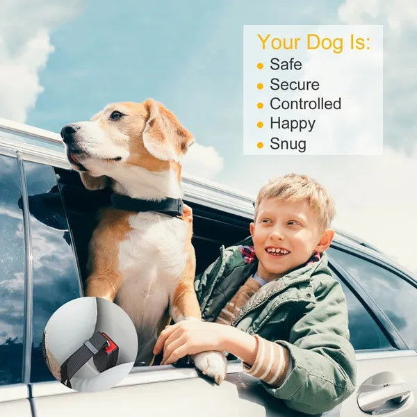 Cinturón de Seguridad Perros