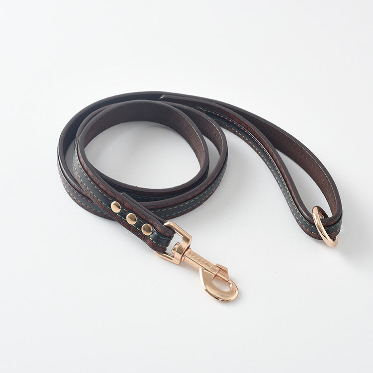 Collar y Correa Classic