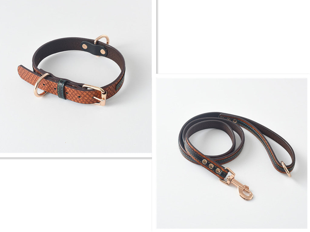 Collar y Correa Classic