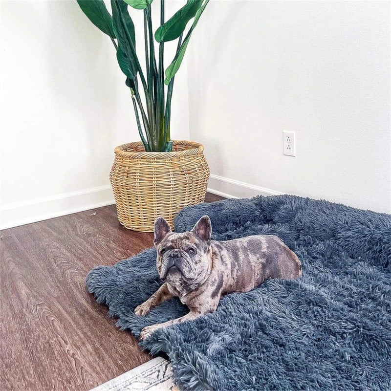 Cama para Sofa