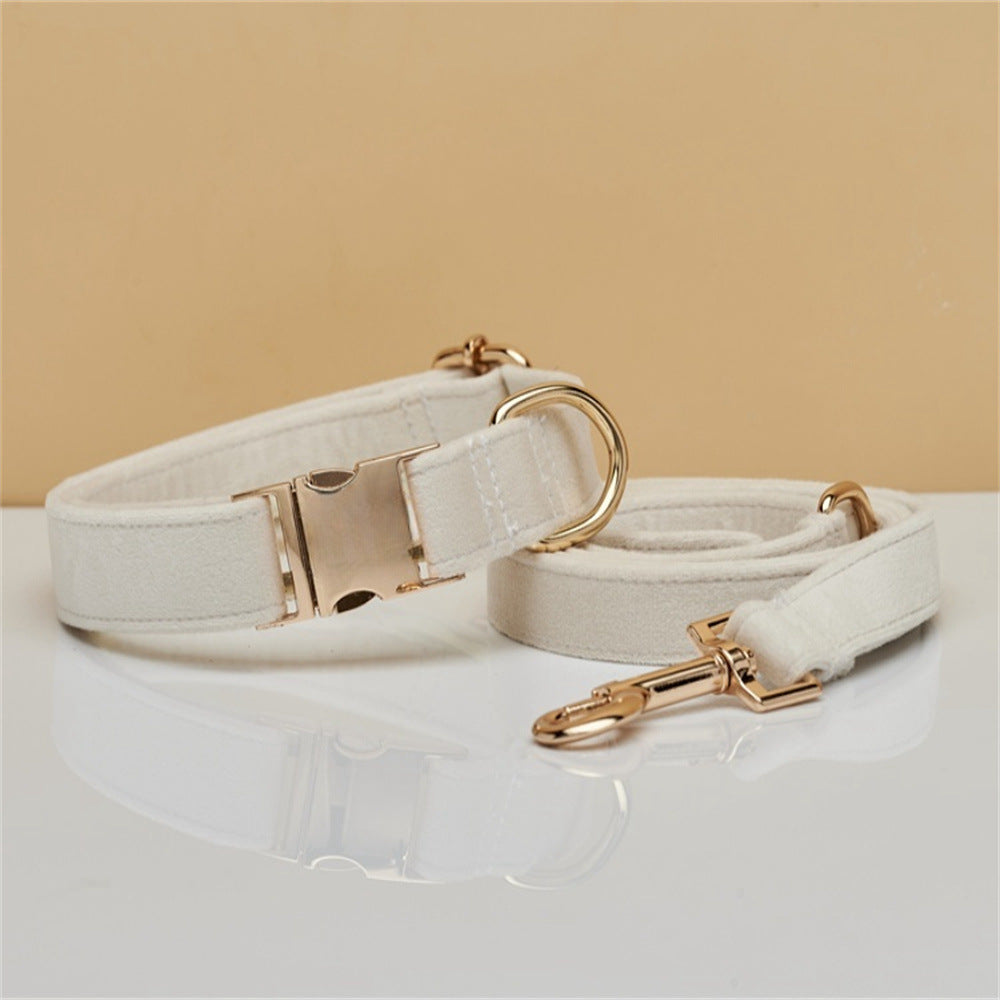 Collar y Correa Elegance