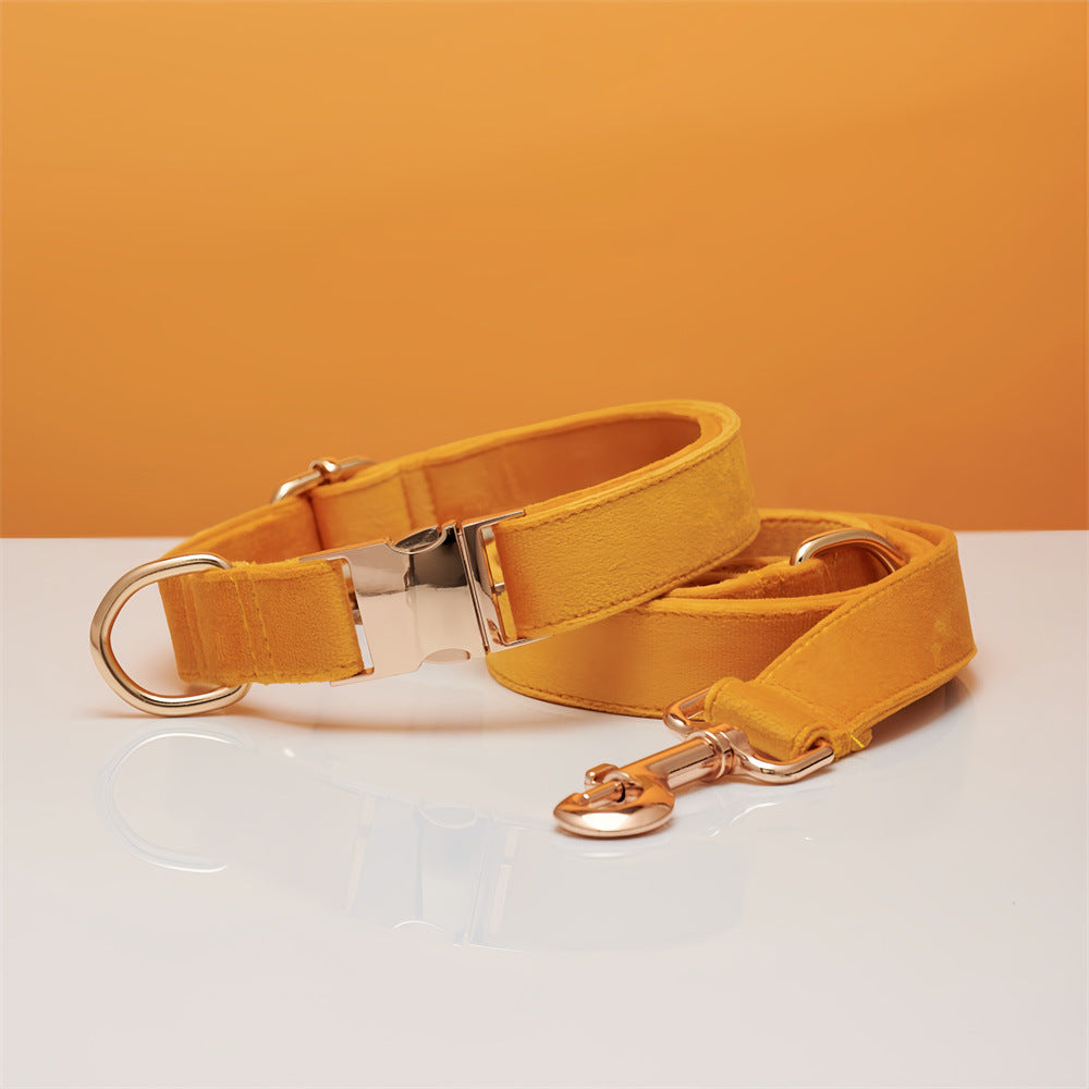 Collar y Correa Elegance