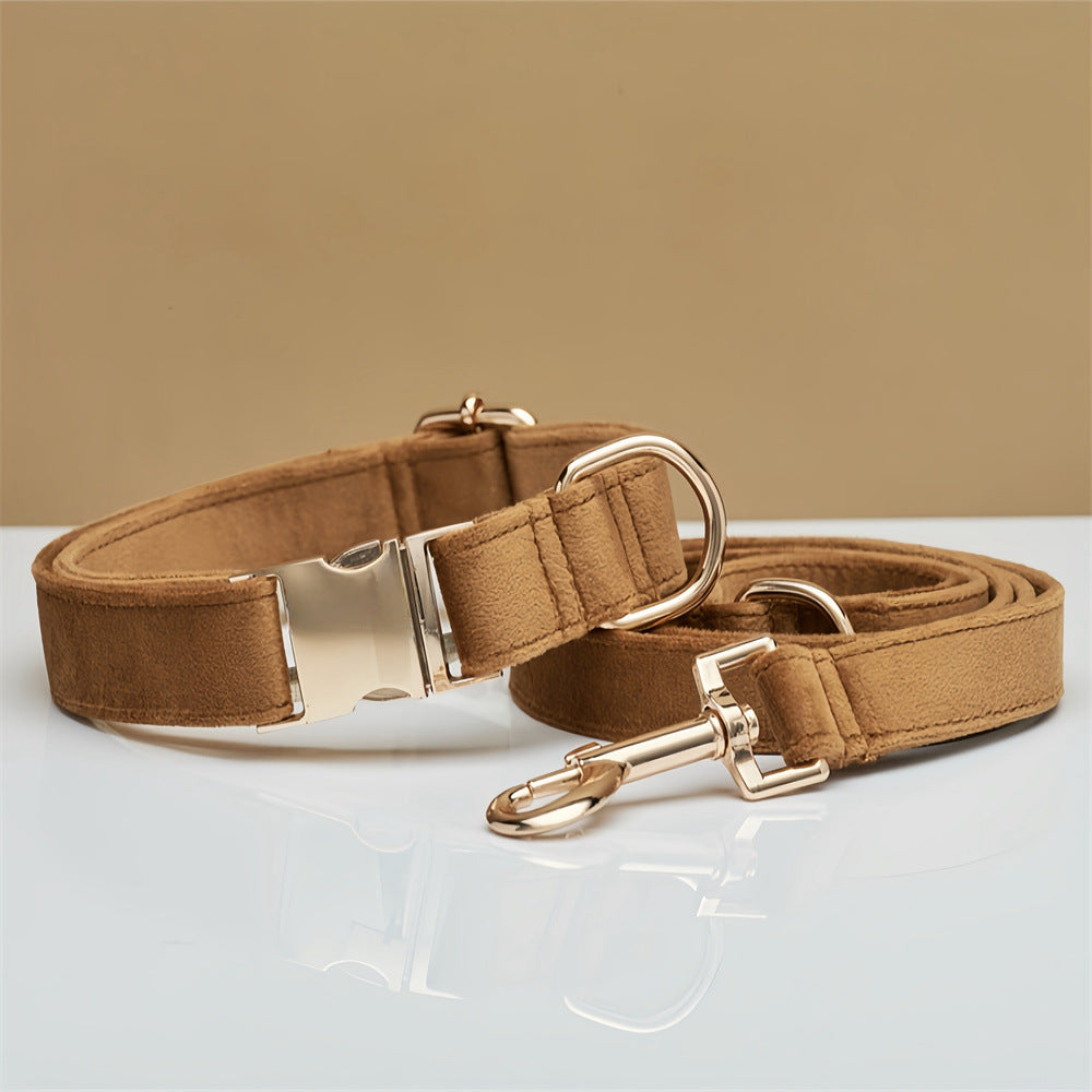 Collar y Correa Elegance