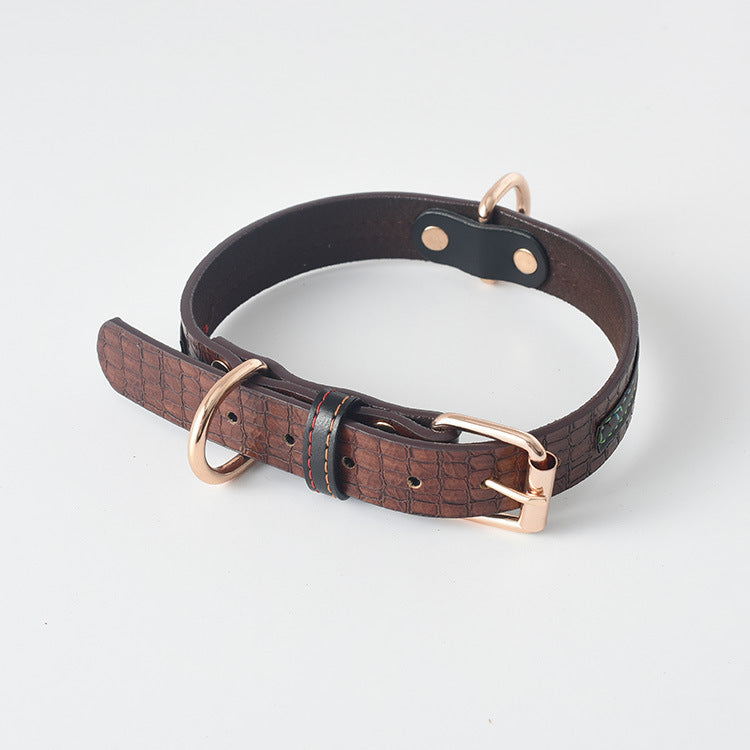 Collar y Correa Classic