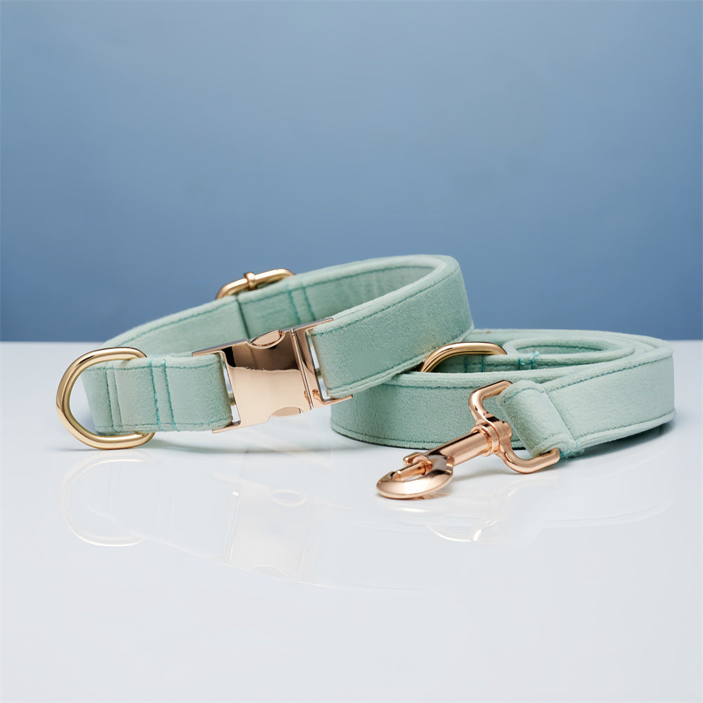 Collar y Correa Elegance