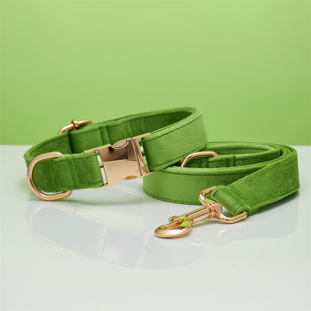 Collar y Correa Elegance