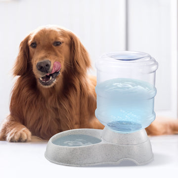 Plato de Agua Automático