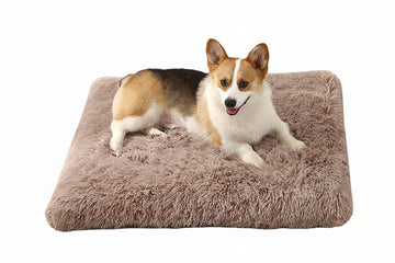 Cama Mat Mascotas