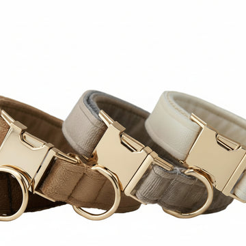 Collar y Correa Elegance