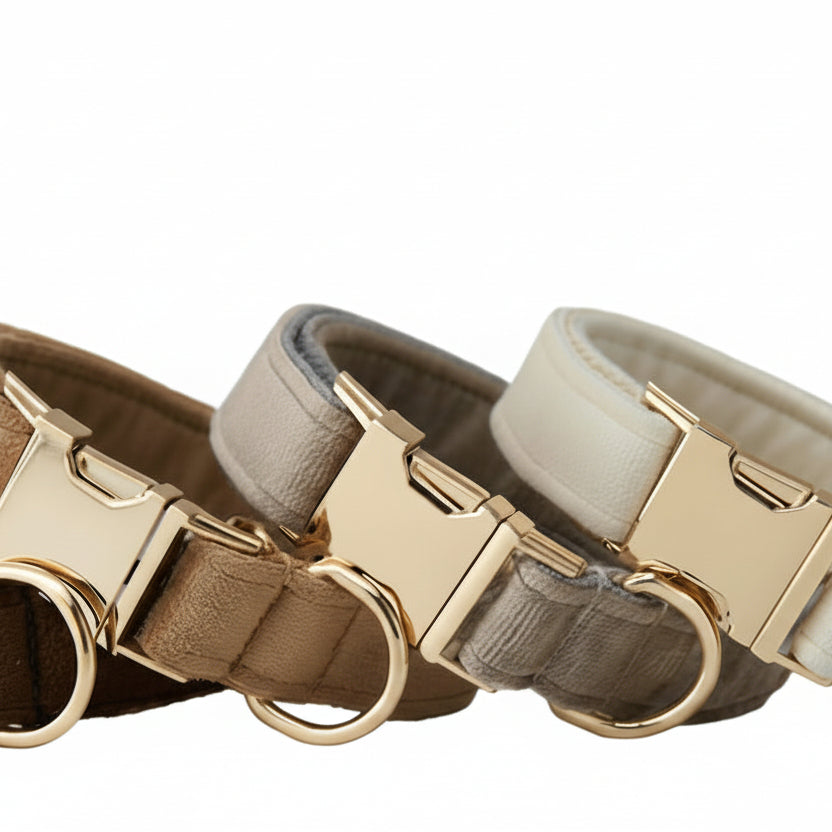 Collar y Correa Elegance