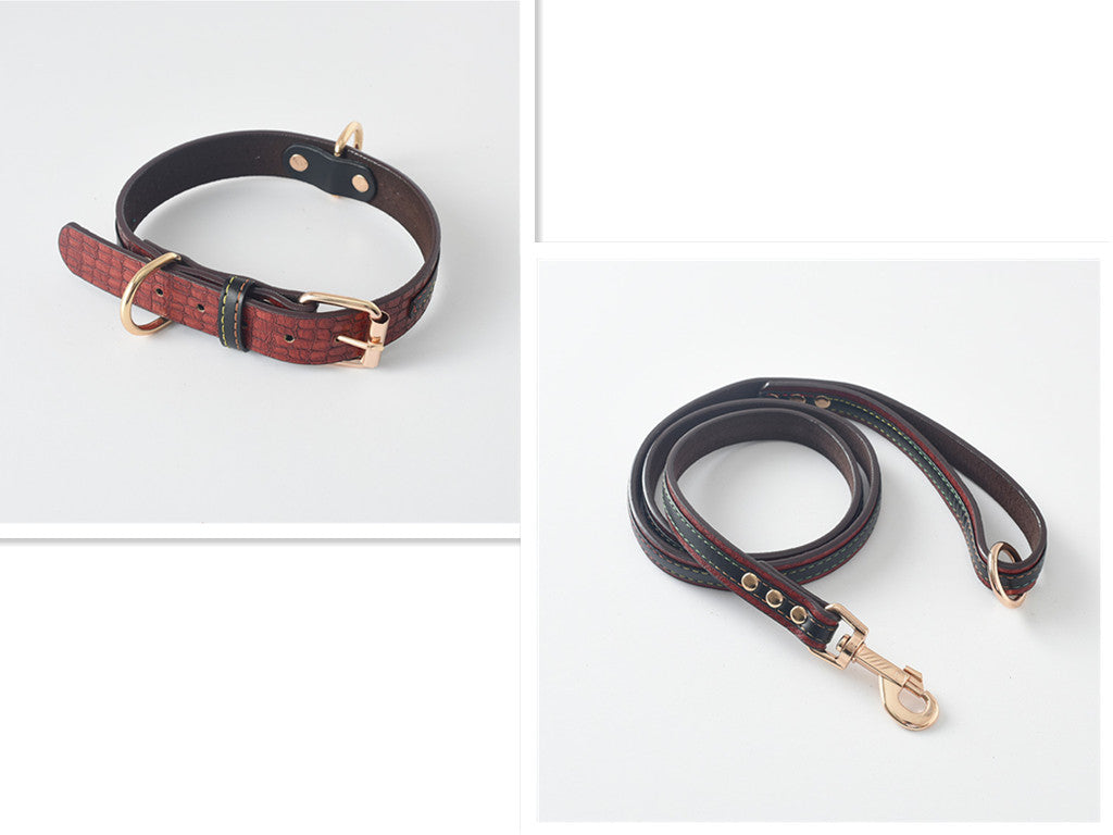 Collar y Correa Classic