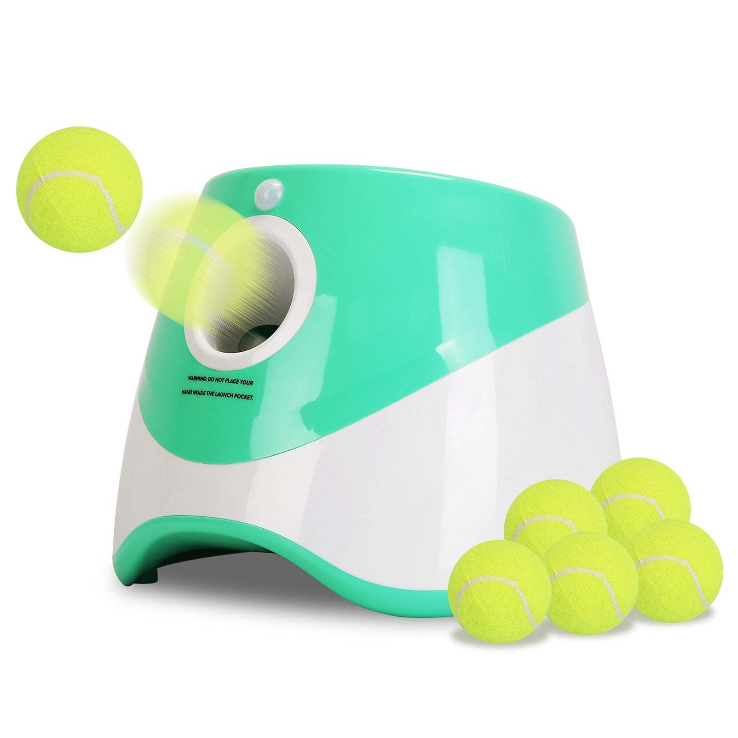 Tennis de Perro