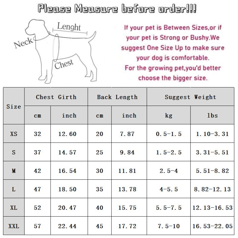 Abrigo 2 Partes Skirt