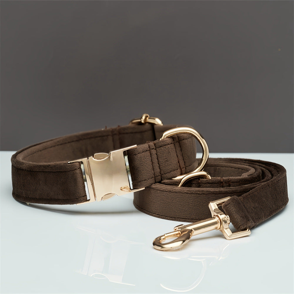 Collar y Correa Elegance