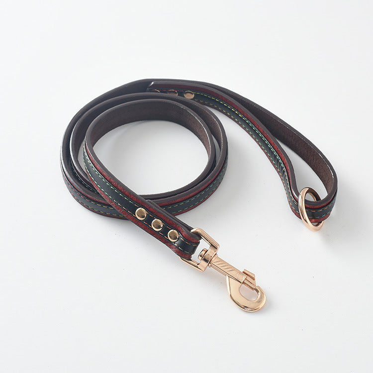Collar y Correa Classic