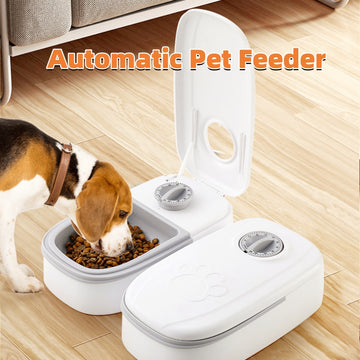 Dispensador con Timer