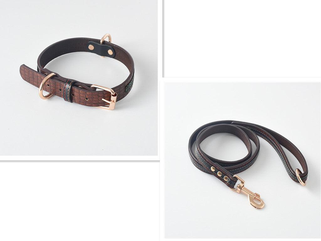 Collar y Correa Classic