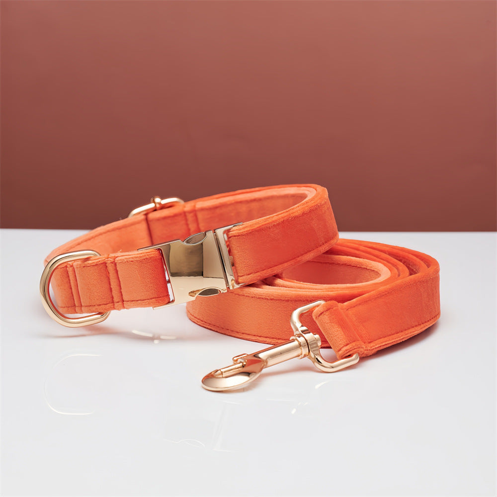 Collar y Correa Elegance