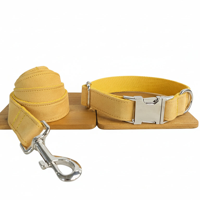 Collar Correa Nala