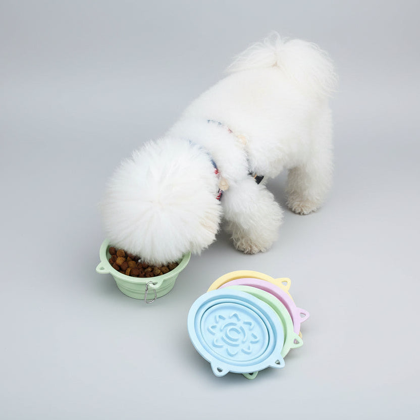 Plato Plegable Portátil