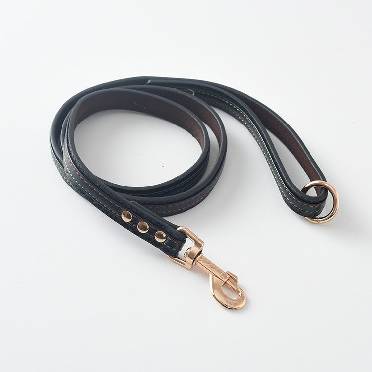 Collar y Correa Classic
