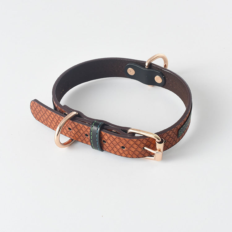 Collar y Correa Classic