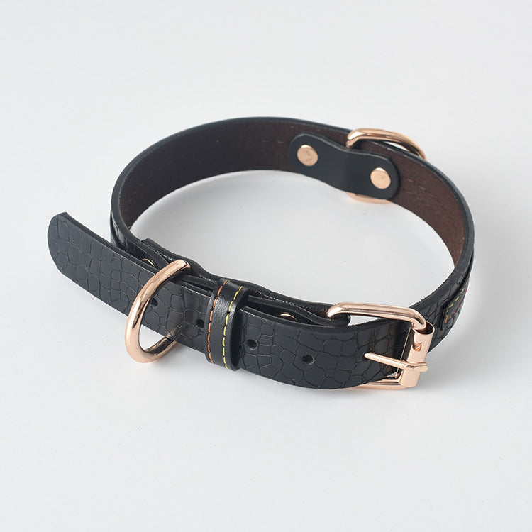 Collar y Correa Classic
