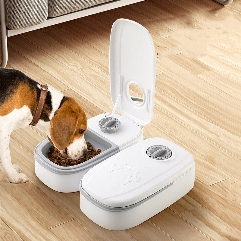 Dispensador con Timer